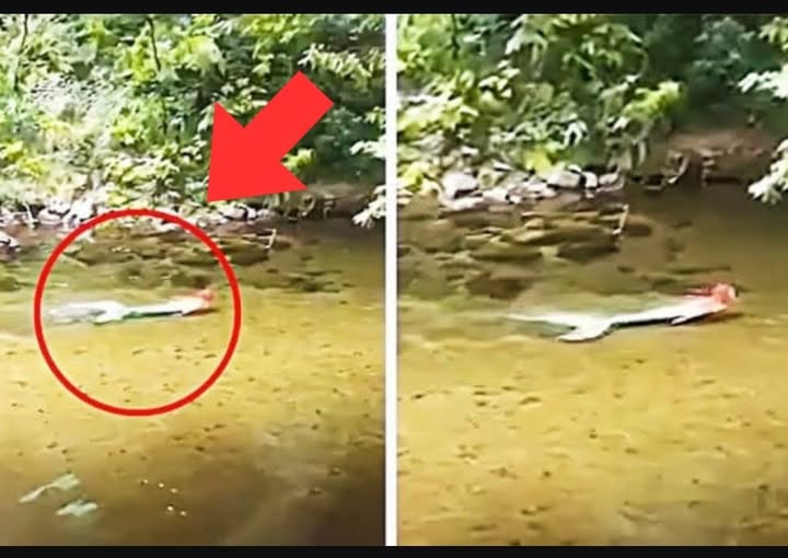 A Spine-Chilling Discovery: Unveiling the Mystery Figure