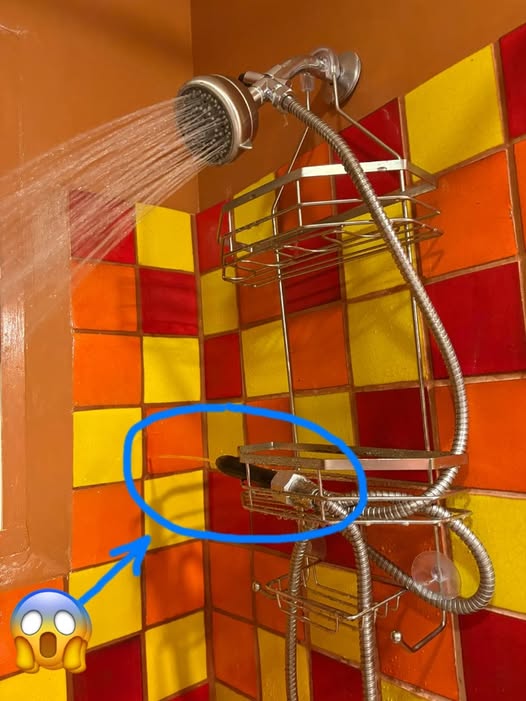 I’m staying in an Airbnb and this phallic object that squirts water is in the shower