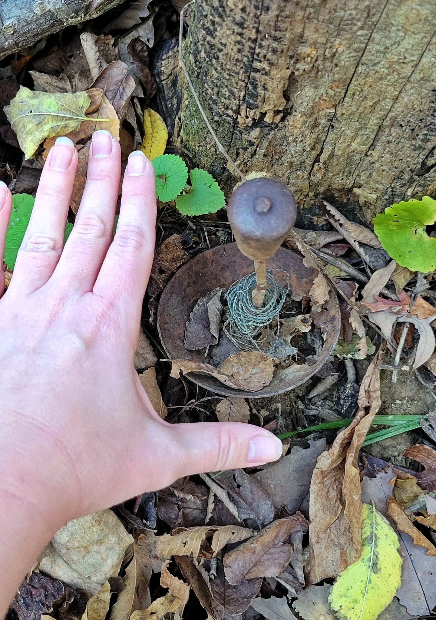 An Ingenious Solution Hidden in Plain Sight