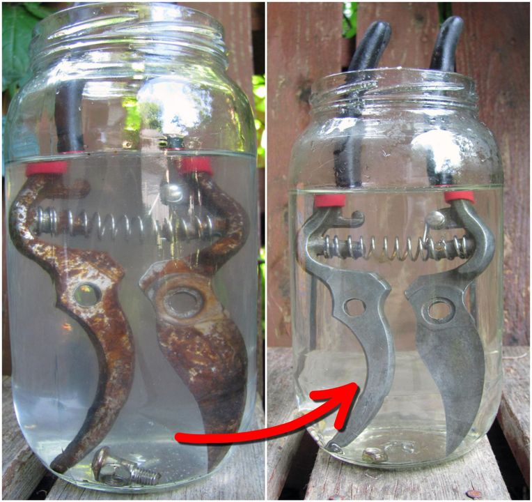 How to Easily Clean & Sharpen Your Pruning Shears