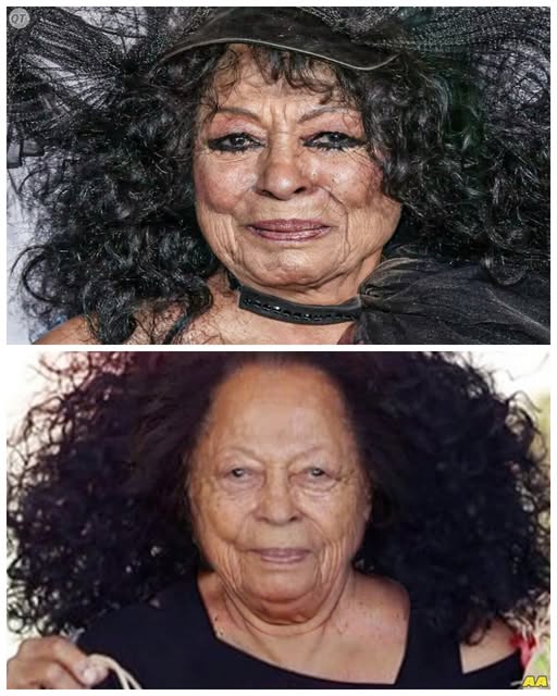 Diana Ross at 81: A Journey Through Music, Legacy, and an Unbreakable Bond with Michael Jackson