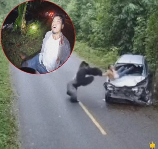 Couple of teenagers aged 13 and 15 that were missing are found inside T… see more