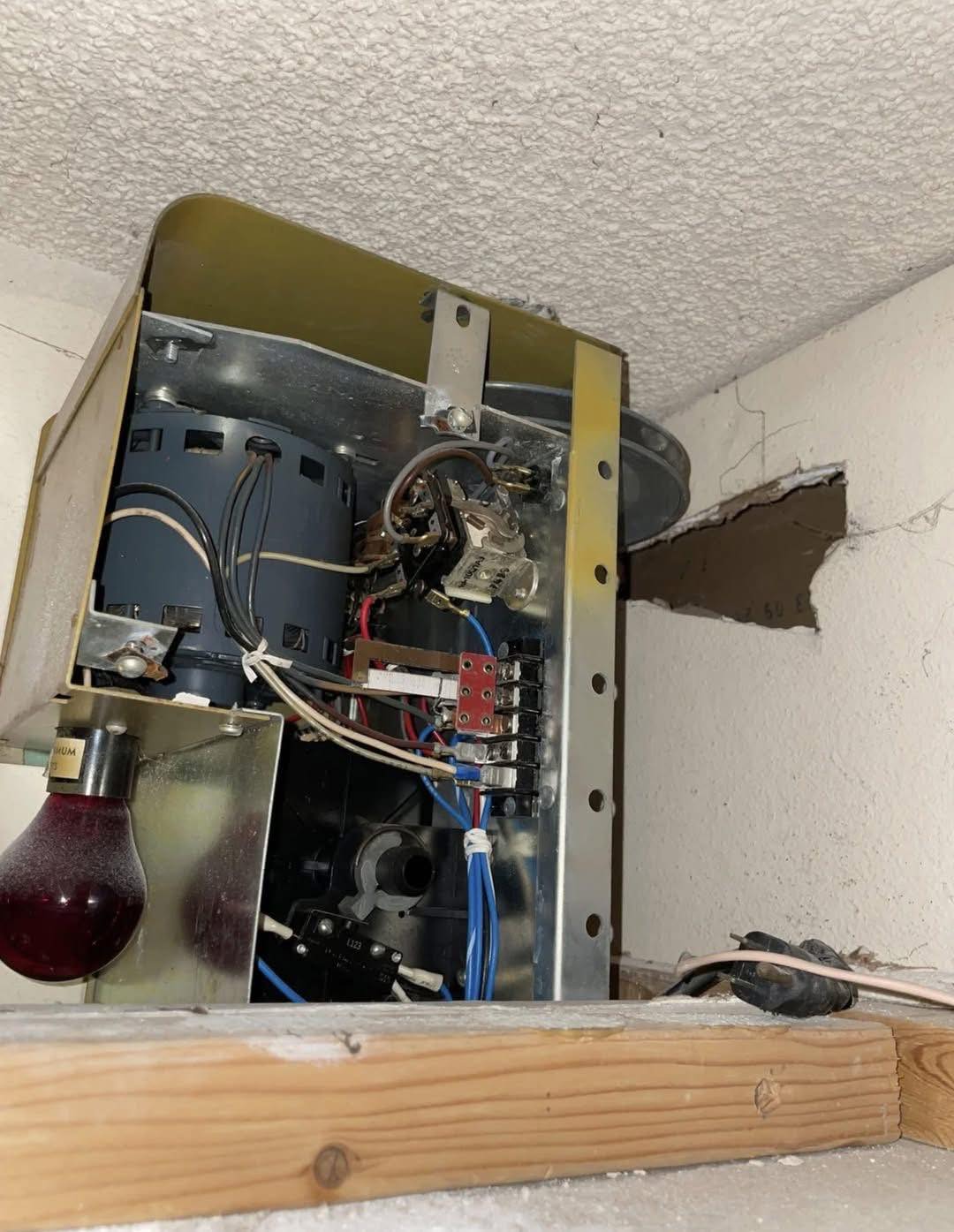 A Strange Find in the Ceiling