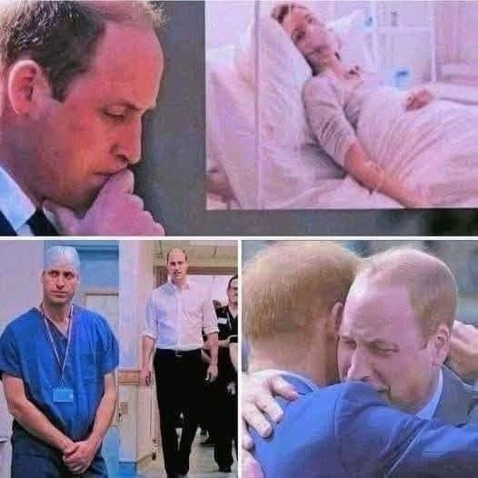 DEADLY FALL  Prince Harry is devastated with grief. With heavy hearts, we announce the passing. Check the first comment 