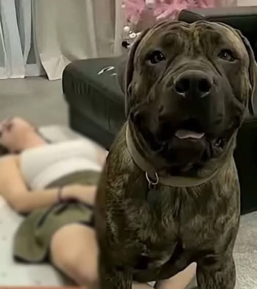 A Personal Health Experience: Why Comprehensive Education and Awareness Matter