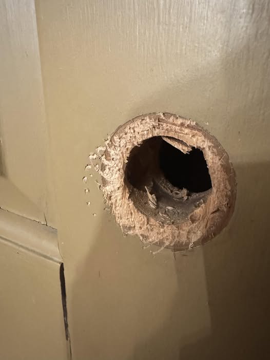 Fatherless Daughter With a Power Drill”: Learning Home Repair One Wobbly Hole Saw at a Time