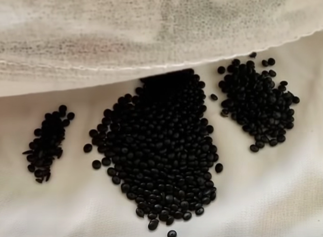 A Small Discovery Under My Mattress That Taught Me a Big Lesson